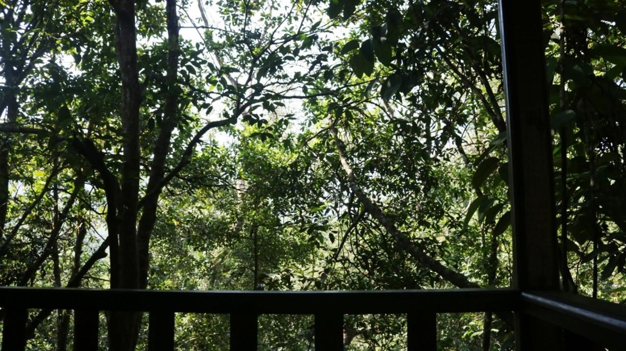 Birds Paradise Hotel Kudawe Esterno foto